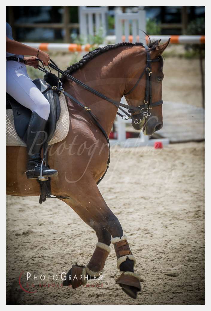 D3s144017 © by Photographie.Pro