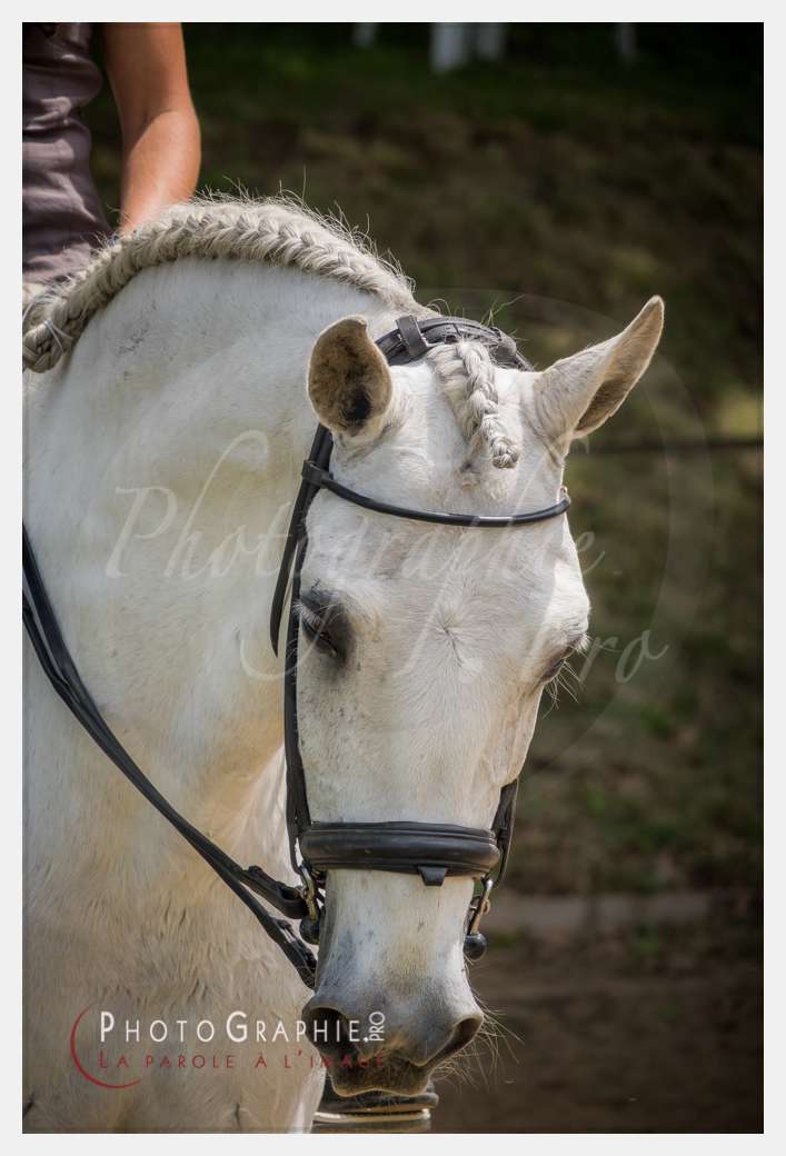 S1026436 © by Photographie.Pro