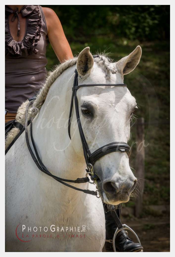 S1026442 © by Photographie.Pro