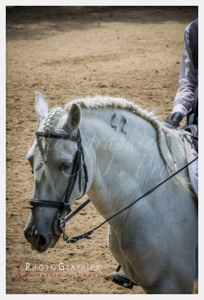 S1026550 © by Photographie.Pro