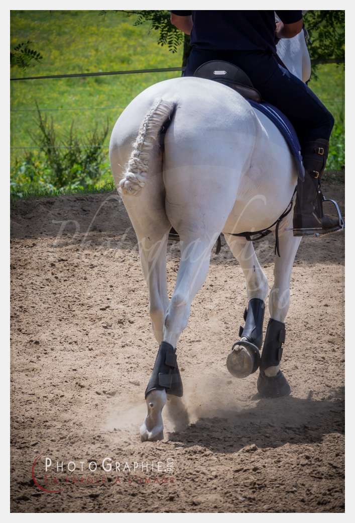 S1026568 © by Photographie.Pro