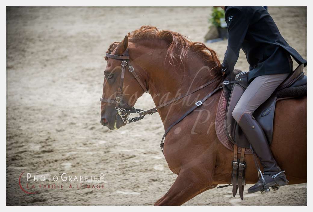 D3s144779 © by Photographie.Pro