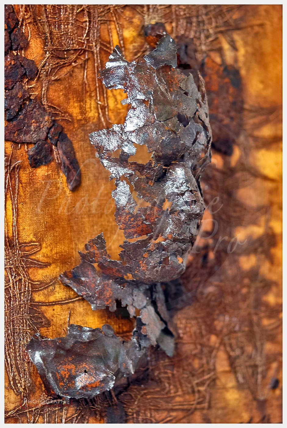 Yan BACART, artiste à Mortain - Abbaye Blanche © by A-la-Vie.com