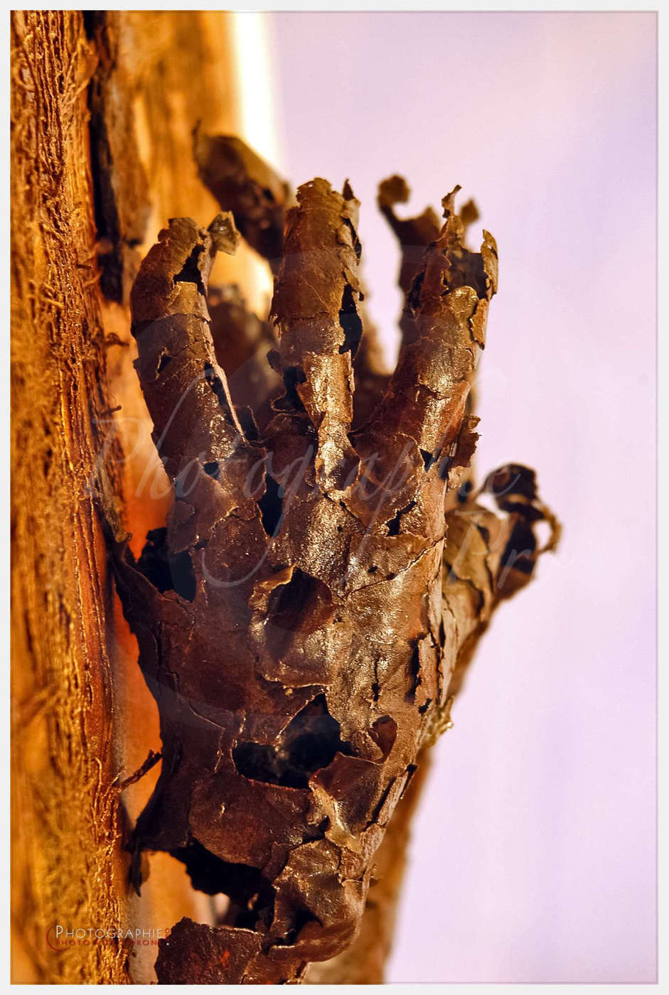 Yan BACART, artiste à Mortain - Abbaye Blanche © by A-la-Vie.com