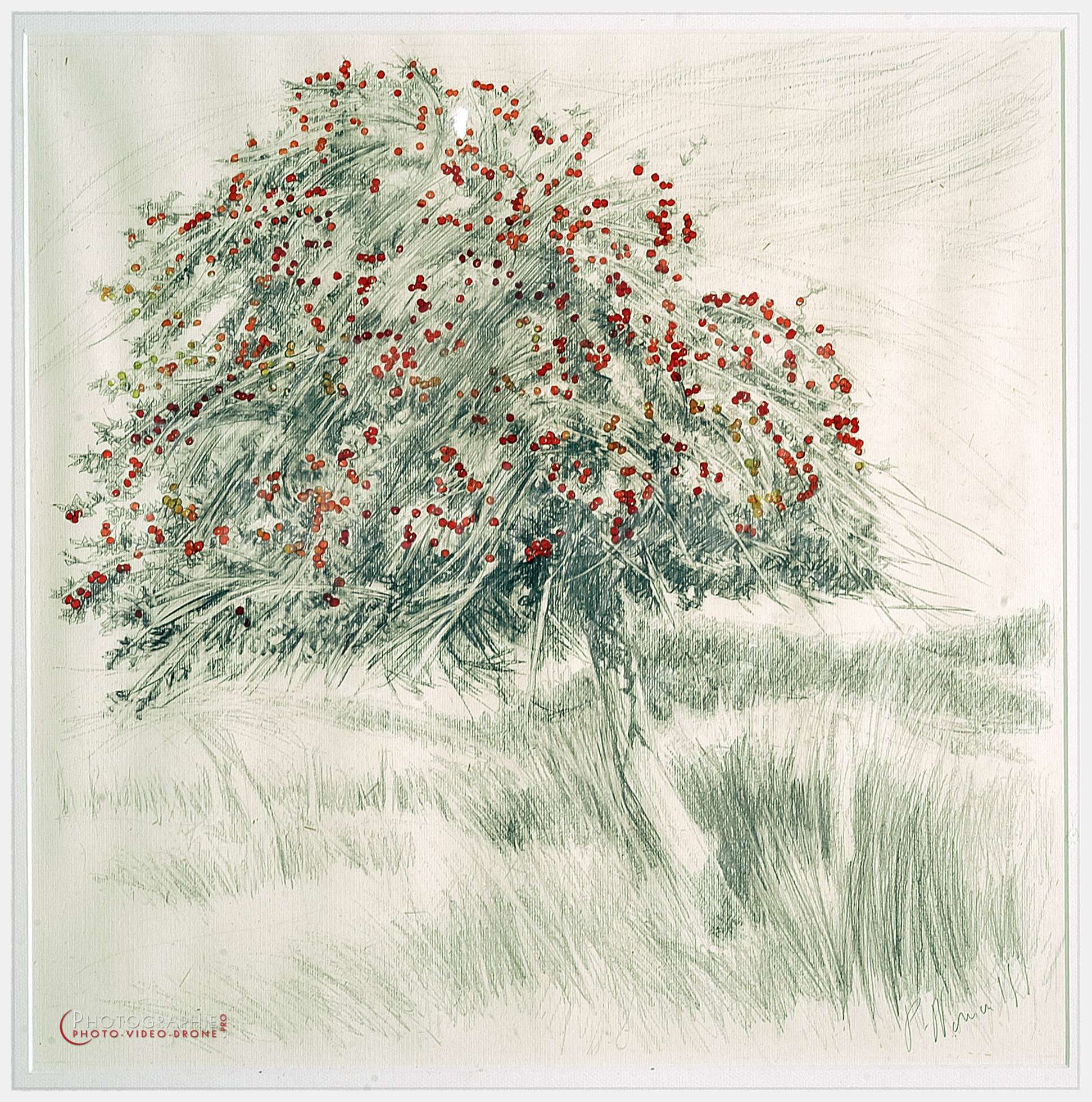 Paris - Toussaint 2004 © by A-la-Vie.com