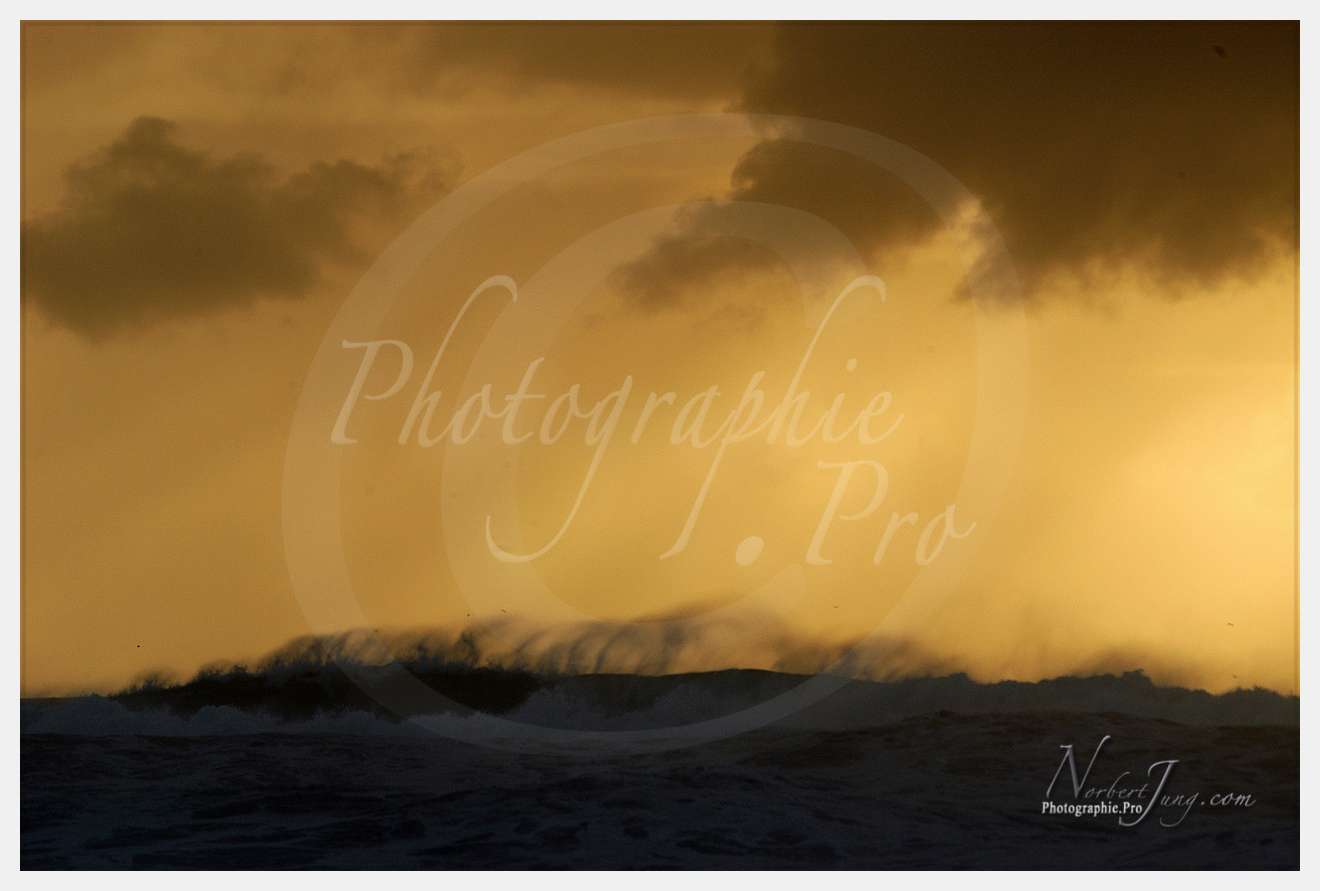 Vagues (Atlantique - Portugal - Dunes de la Costa do Prata) © by A-la-Vie.com