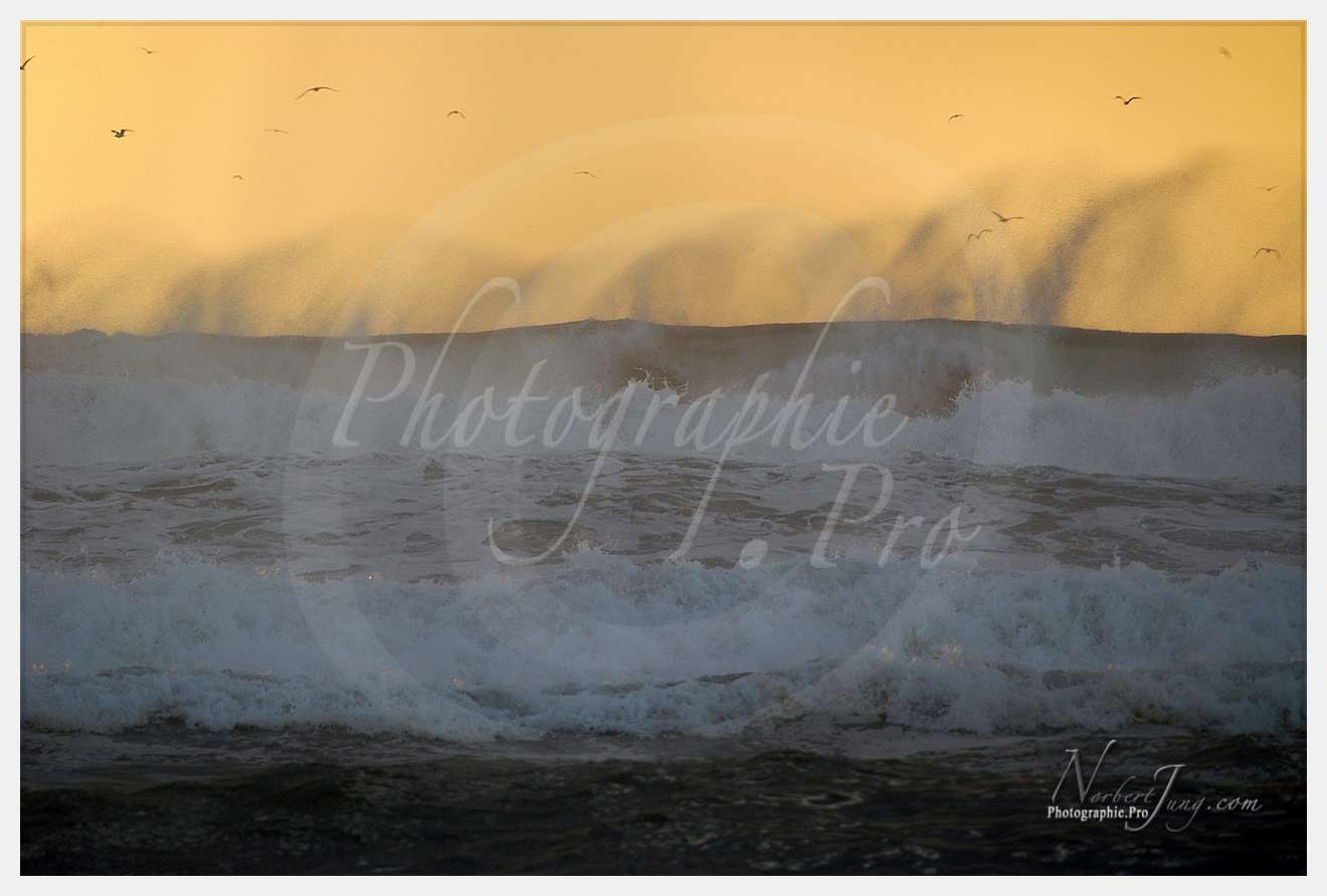 Vagues (Atlantique - Portugal - Dunes de la Costa do Prata) © by A-la-Vie.com