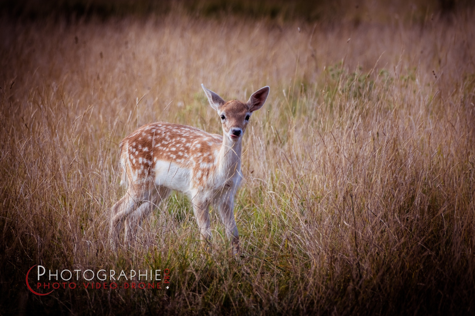 S1049277 © by A-la-Vie.com