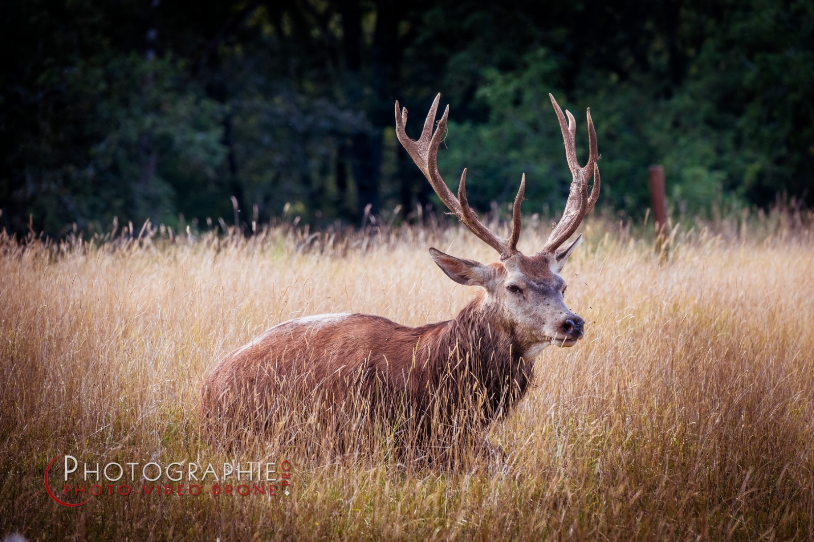 S1049358 © by A-la-Vie.com