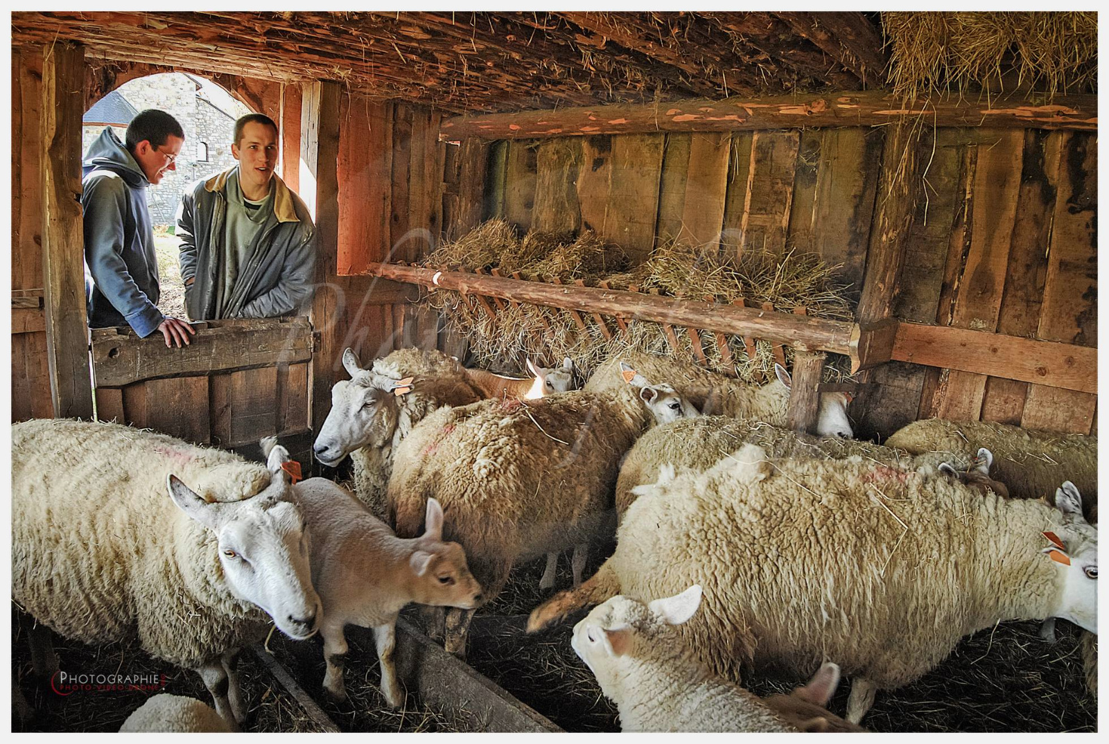 D2216680_1 © by A-la-Vie.com