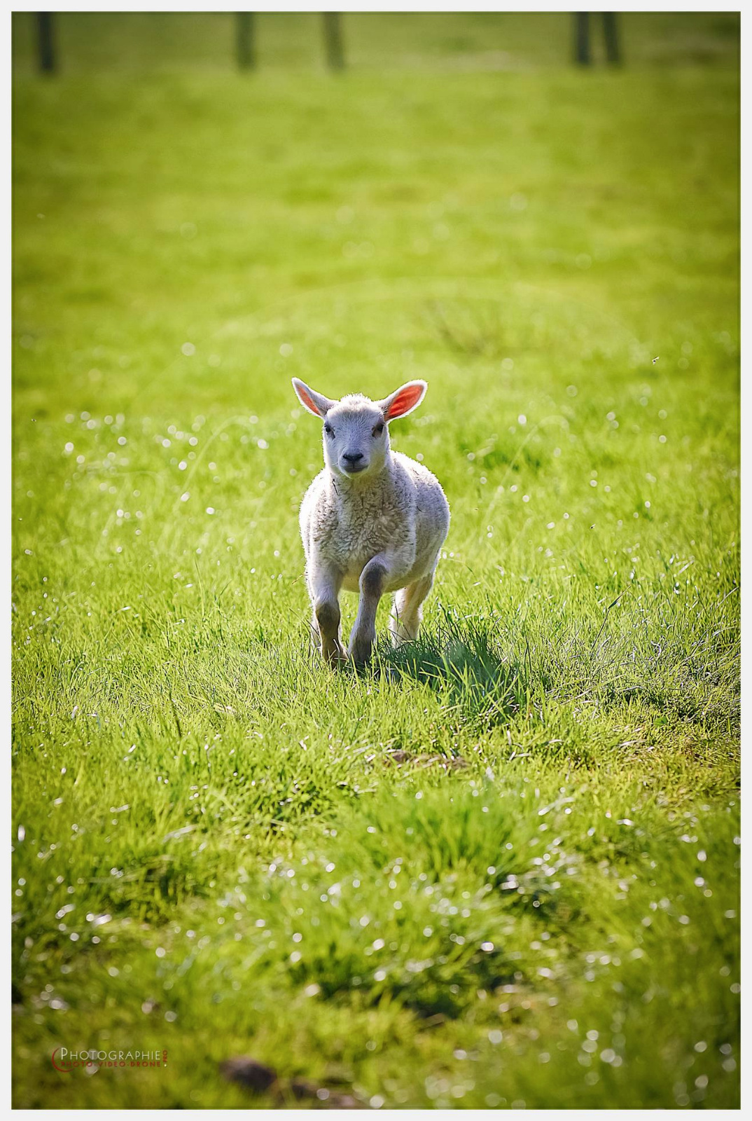 D2216851_1 © by A-la-Vie.com