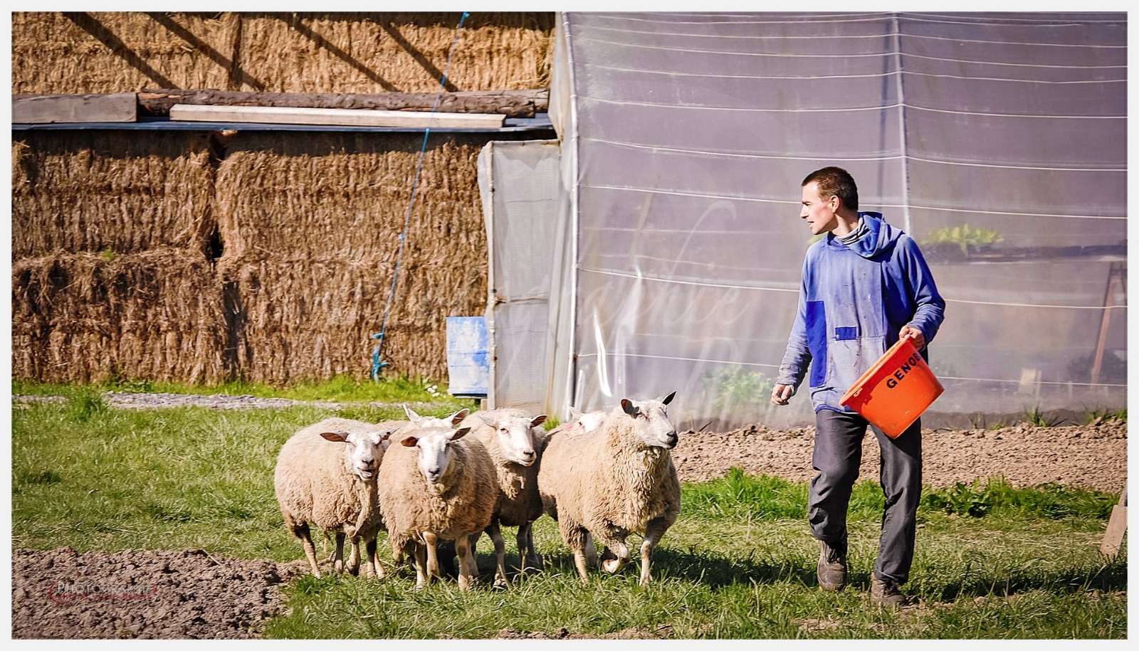 D2216888_1 © by A-la-Vie.com