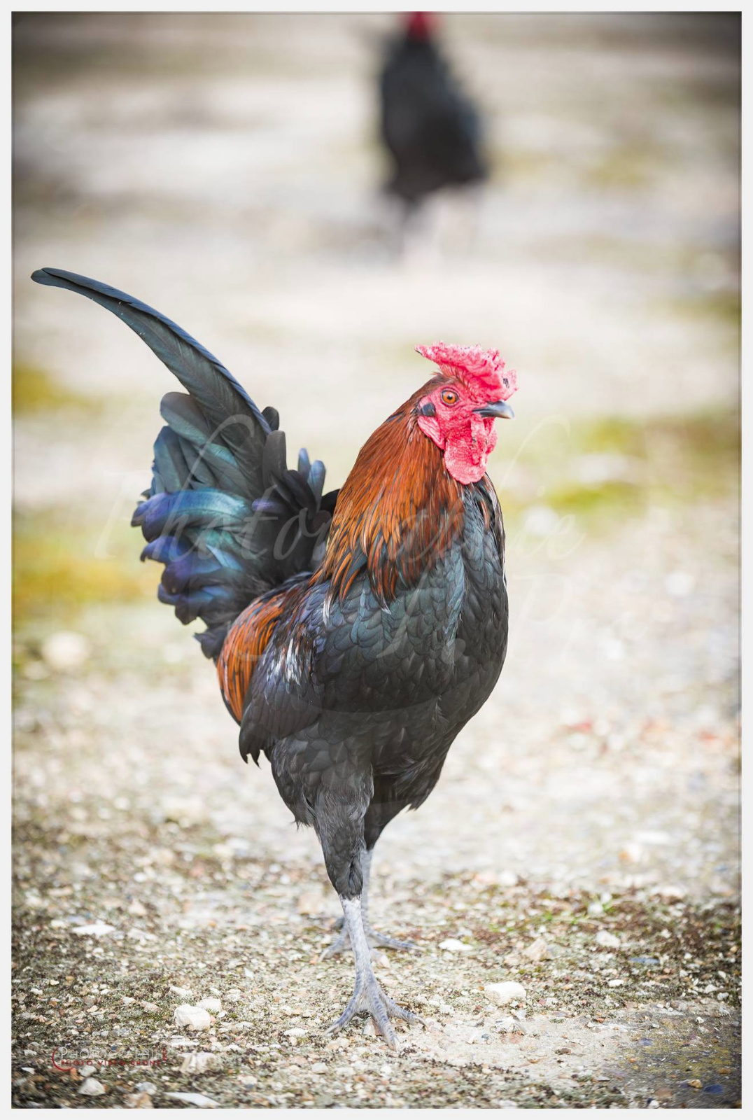Anastasia, Timothée et Maxime chez nous © by A-la-Vie.com
