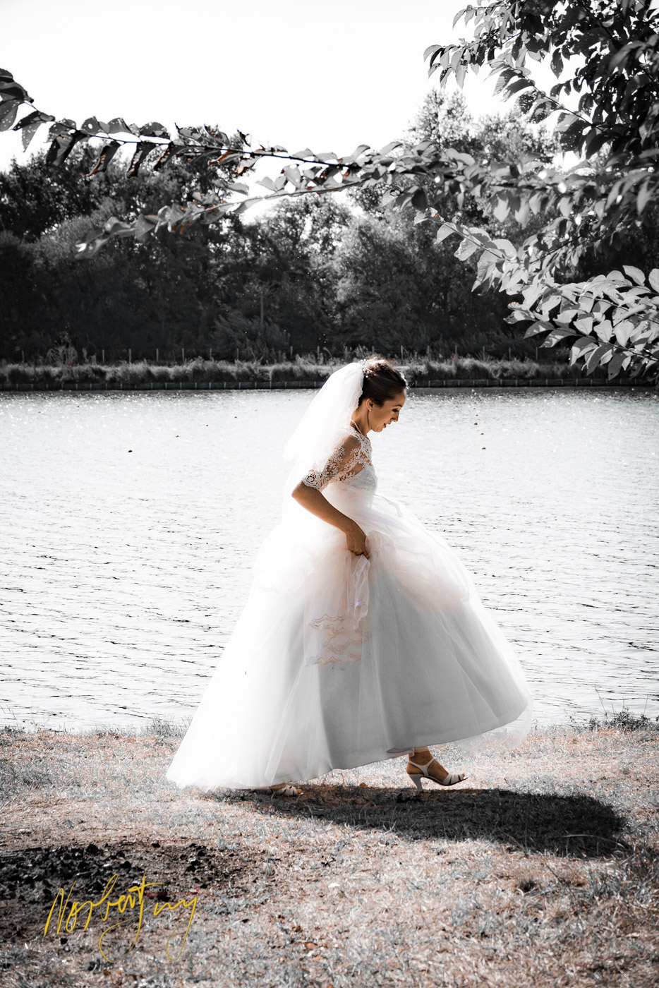 SEL 151 S1099771 - © by A-la-Vie.com