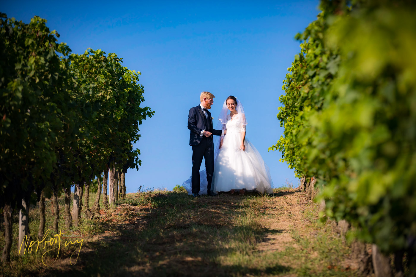 SEL 156 D8e146231 - © by A-la-Vie.com