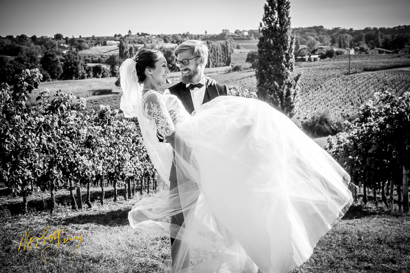 SEL 176 S1099800 - © by A-la-Vie.com