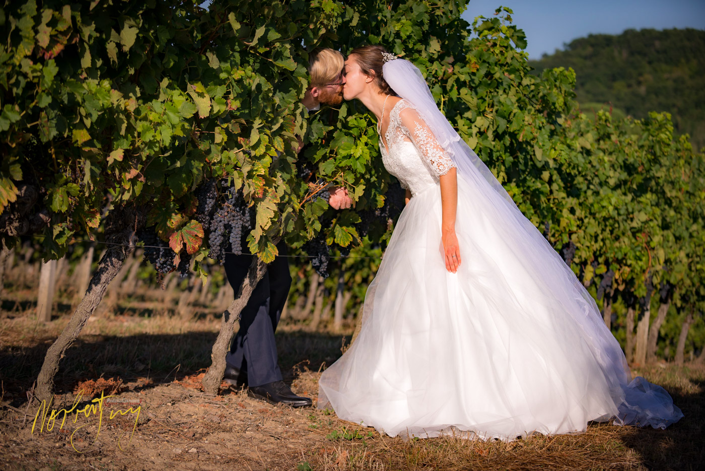 SEL 209 D8e146466 - © by A-la-Vie.com