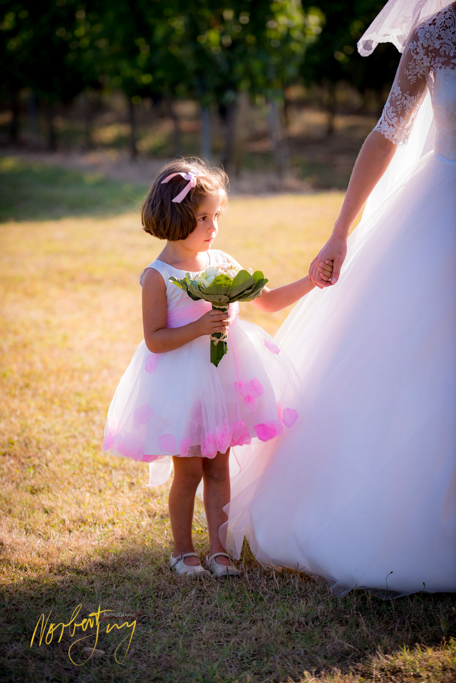 SEL 228 D8e146658 - © by A-la-Vie.com