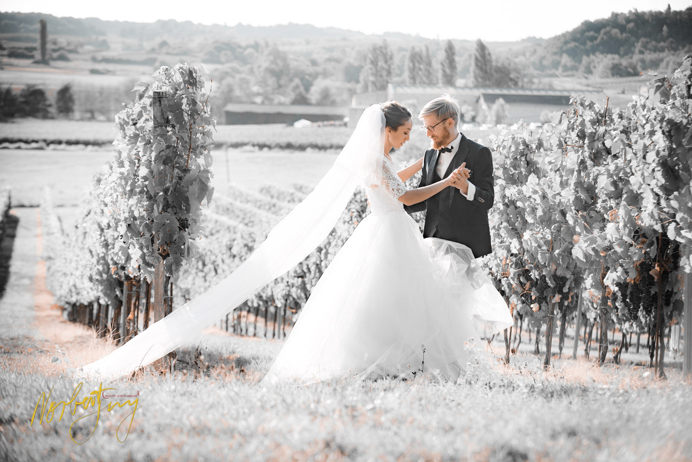 SEL 233 D8e146698 - © by A-la-Vie.com