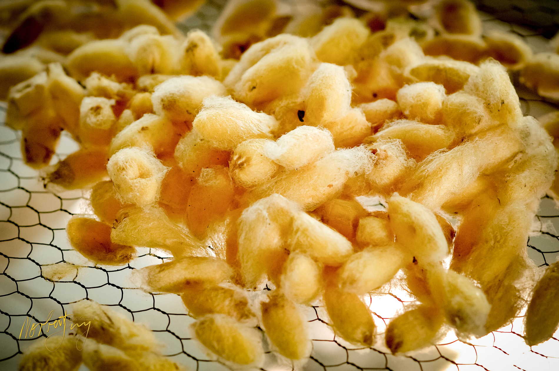 Enfants du Mékong © by A-la-Vie.com