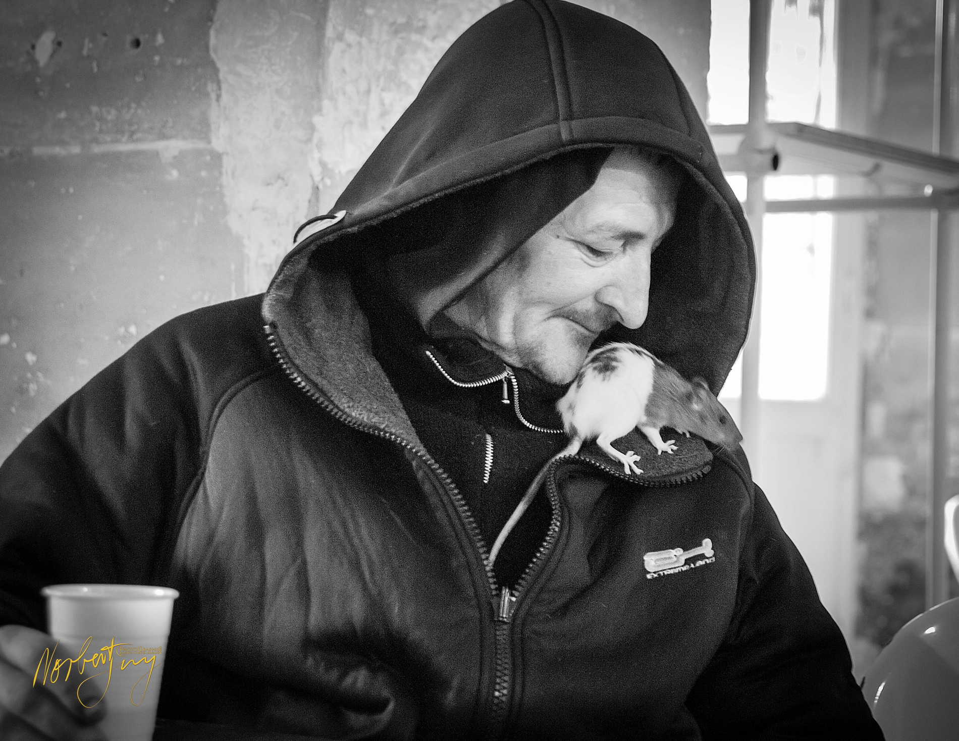 Aux captifs la libÈration © by A-la-Vie.com